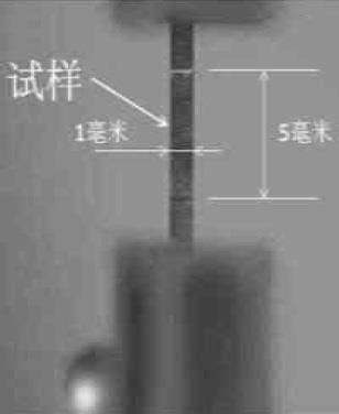 图片上传